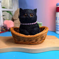 Black Sitting Cat Taba Squishy Toy Kawaii Cat Collectible