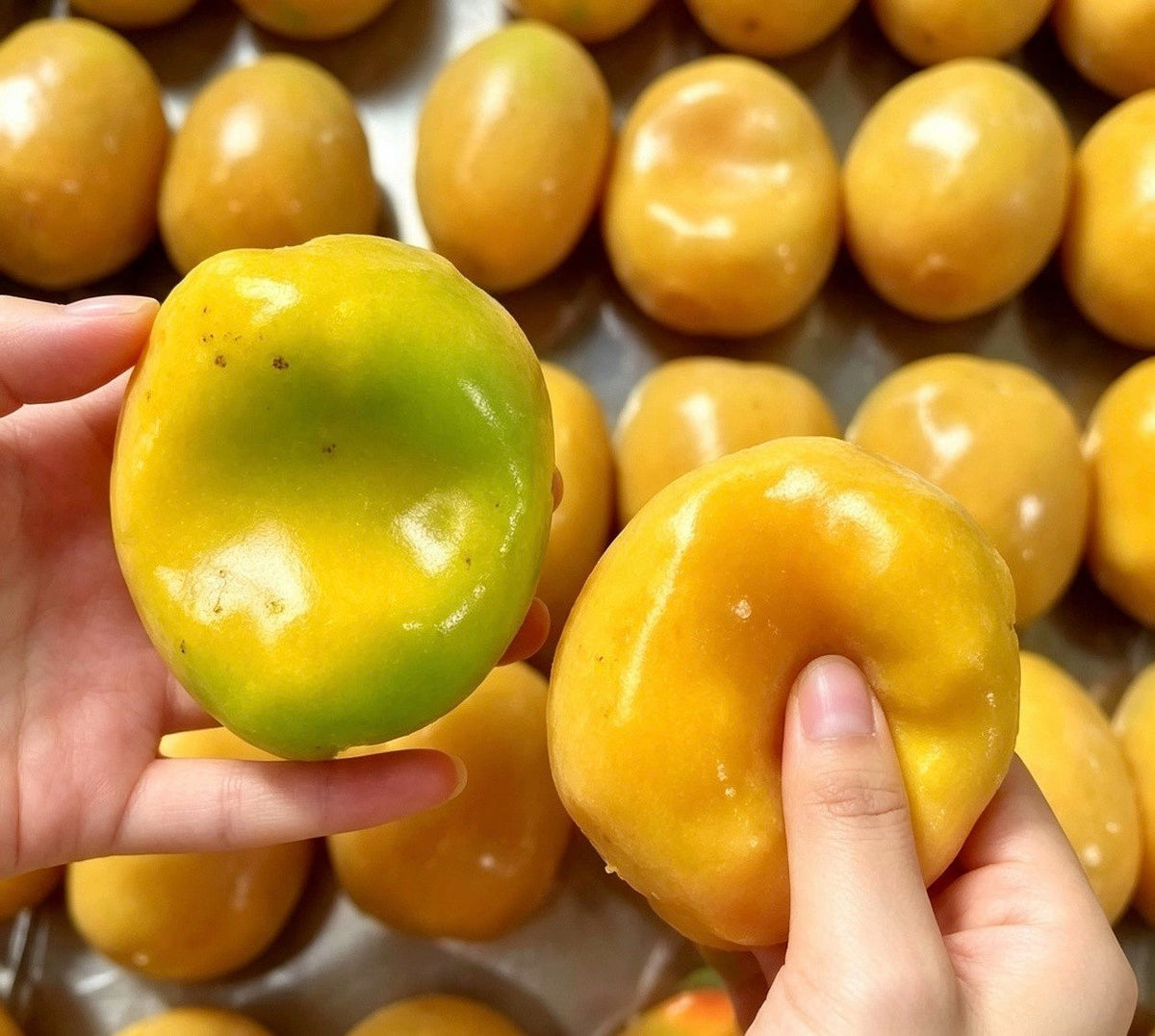 Color Changing Mango Crunchy Brick Filled Stress Relief Ball ASMR Toy Stress Relief Ball Happy Fun Park
